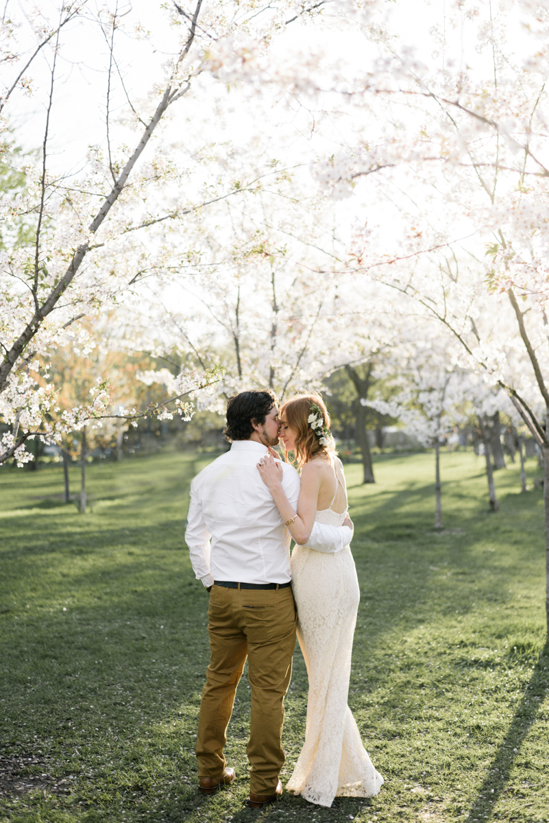 Engagement session, couple in white in trinity bellwoods with cherry blossoms