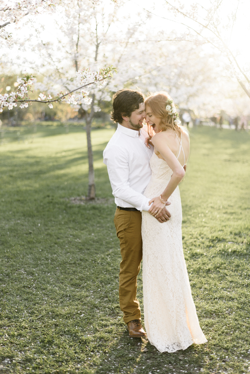 Cherry blossom engagement shoot at trinity bellwoods