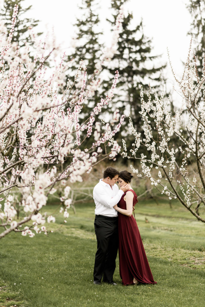 Cherry blossom Niagara-on-the-lake engagement session