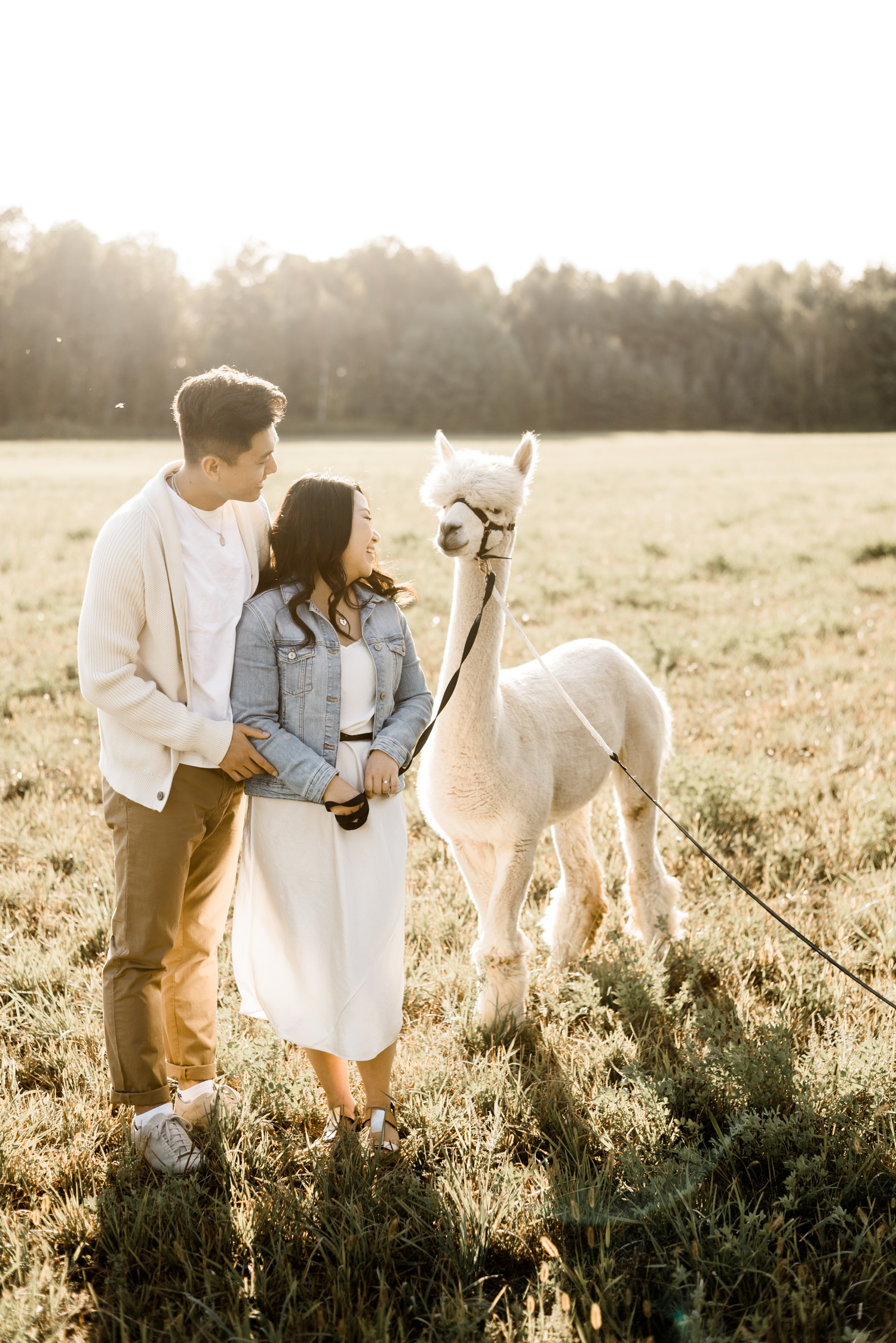 This Alpaca Engagement Session is the Best Thing Ever | Alix Gould
